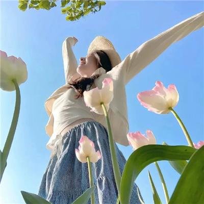 律政英雄新电影版